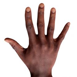 Qwantez Daniel Retopo Hand Scan